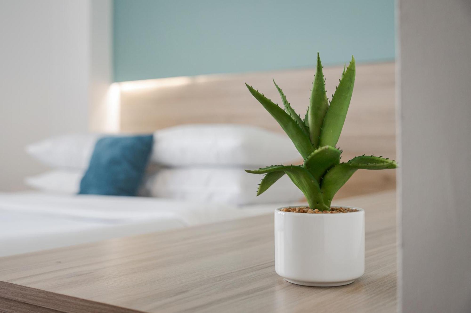 Sette Suites & Rooms - Adults Only Xylokastro Buitenkant foto